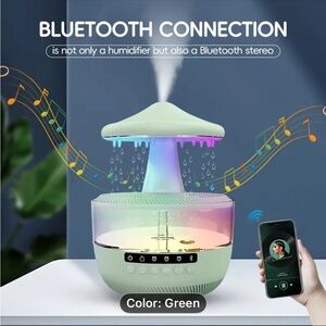 Bluetooth Humidifier with LED Lights